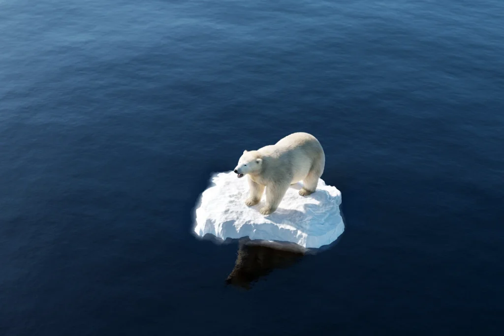 Eisbär auf einer Eisscholle im Meer als Sinnbild für Lebenskrise